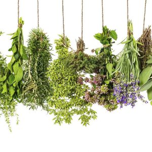 Herbal Formulas