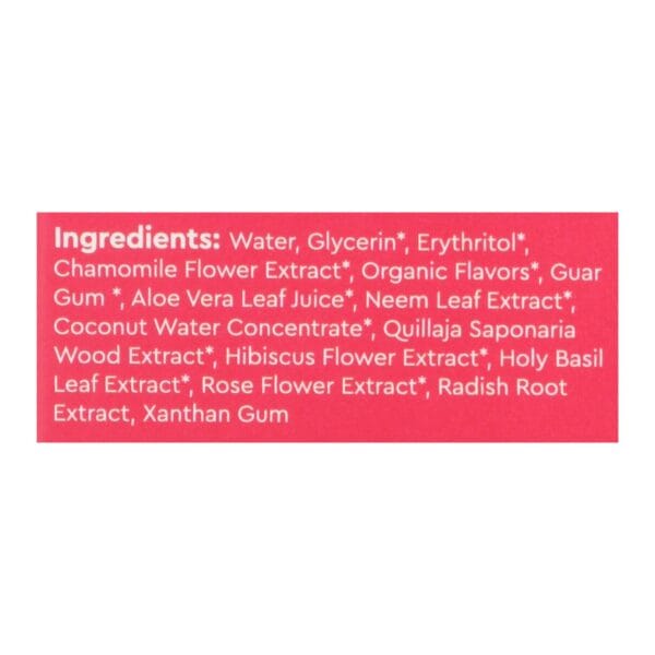 Radius - Tthpste Drgn Fruit Chld - 1 Each - 3 OZ
