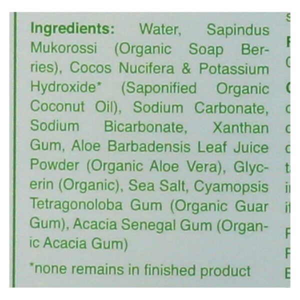 Rebel Green Laundry Detergent - Organic - Unscented - Case of 4 - 64 fl oz