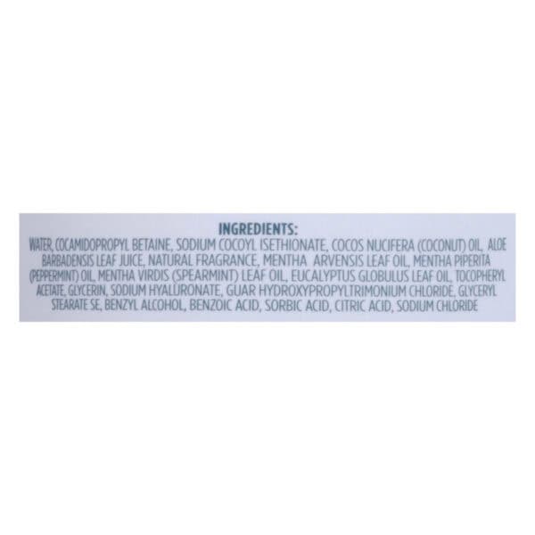 Kirk's Natural - 3-in-1 Cleanser Euclypt Mint - 1 Each-32 FZ - Image 2