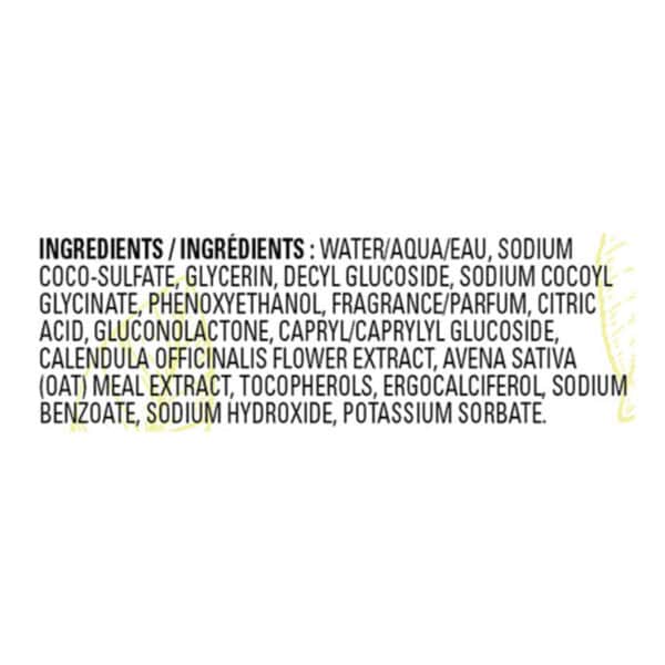 J.R. Watkins - Hand Soap Foam Lemon - Case of 3-9 FZ - Image 2