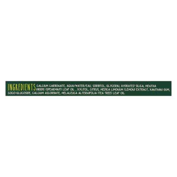The Green Beaver Toothpaste - Spearmint Toothpaste - Case of 1 - 2.5 fl oz. - Image 2