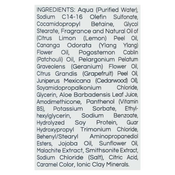 Zion Health - Shampoo Minerls Regenerate - 1 Each - 16 OZ