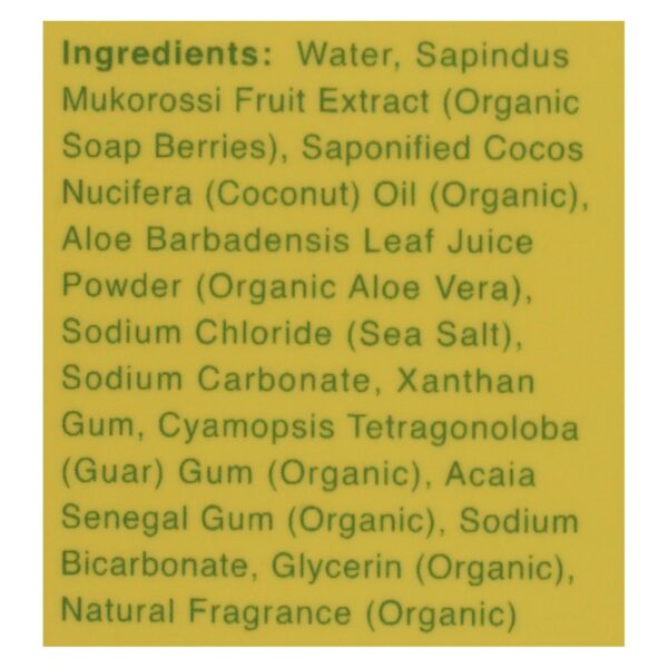Rebel Green Laundry Detergent - Organic - Peppermint and Lemon - Case of 4 - 64 fl oz