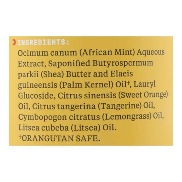 Alaffia - African Black Soap - Tangerine Citrus - 32 fl oz. - Image 2