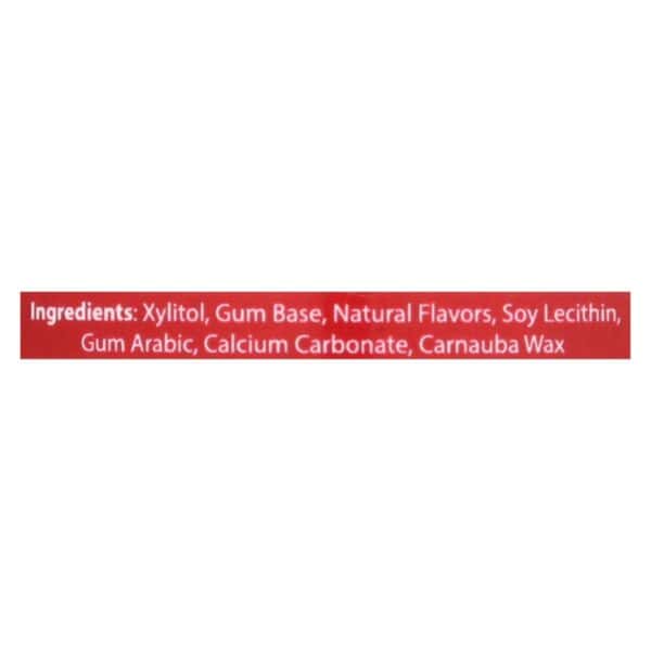 Epic Dental - Xylitol Gum - Cinnamon - 50 Count - Image 3