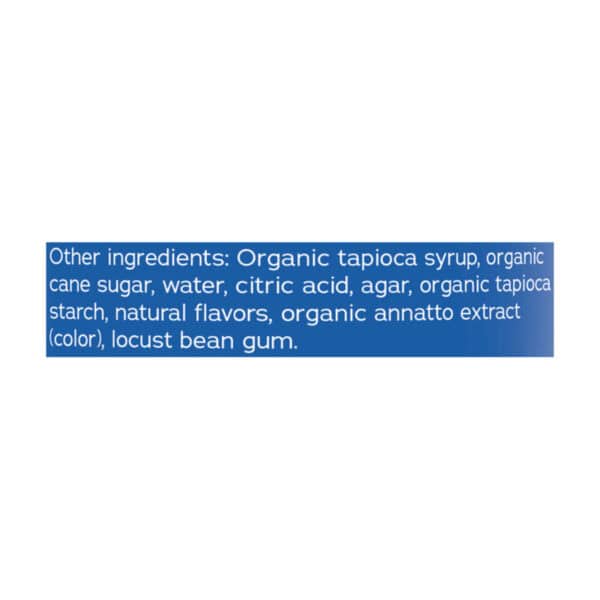 Natural Vitality - Calm Gum Magnesium Orng - 1 Each-120 CT