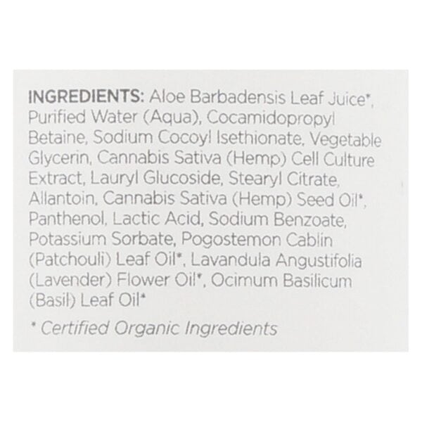 Andalou Naturals Shower Gel Patchouli + Basil Mint - 1 Each - 8 fl oz.