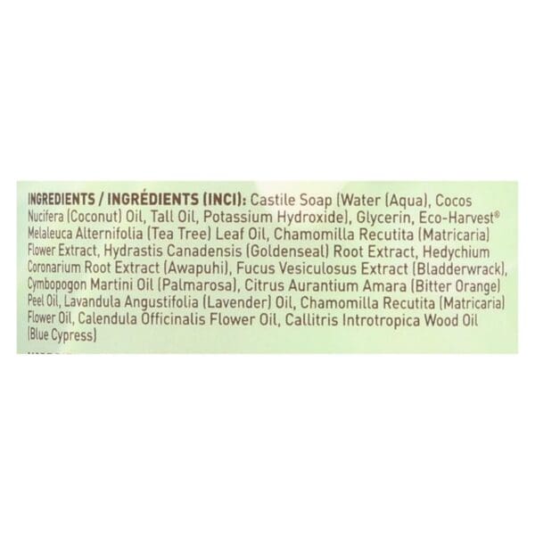 Desert Essence - Thoroughly Clean Face Wash - Original Oily and Combination Skin - 32 fl oz - Image 2