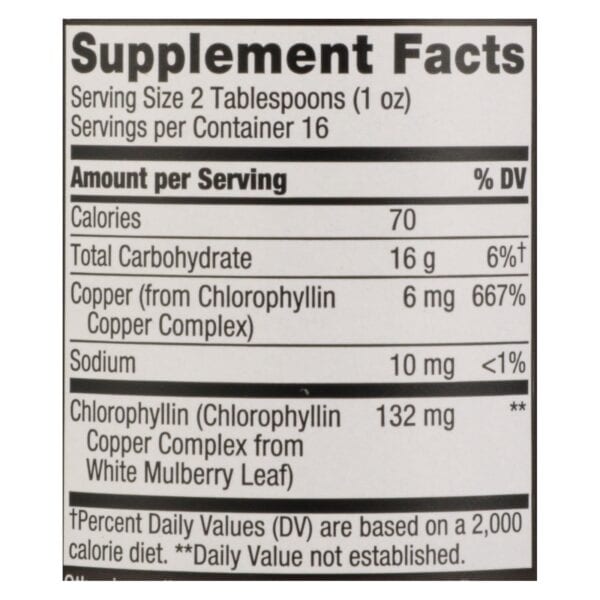 Nature's Way - Chlorofresh Liquid Chlorophyll Natural Mint - 16 fl oz