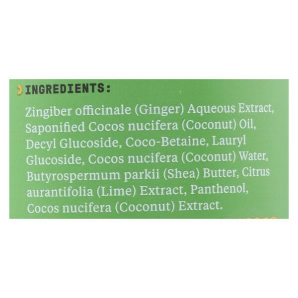 Alaffia - Everyday Shampoo - Coconut Lime - 32 fl oz. - Image 2