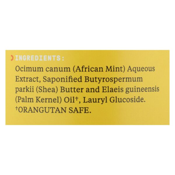 Alaffia - African Black Soap - Unscented - 32 fl oz. - Image 2