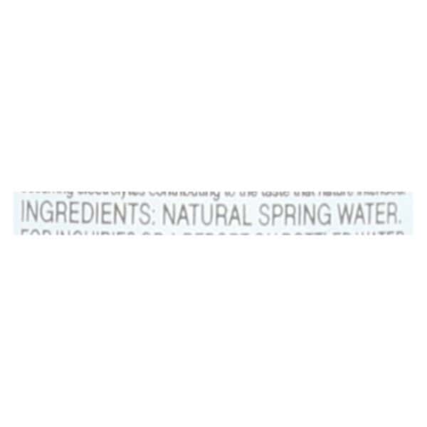 Evians Spring Water Spring Water Plastic - Water - Case of 24 - 500 ml - Image 2
