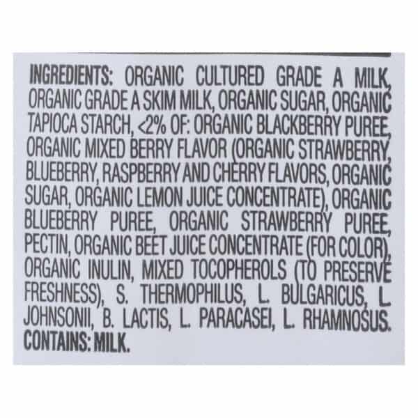 Happy Baby Happy Yogis Organic Superfoods Yogurt and Fruit Snacks Mixed Berry - 1 oz - Case of 8 - Image 2