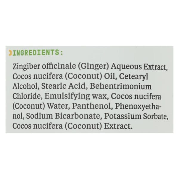 Alaffia - Everyday Conditioner - Coconut and Ginger - 32 fl oz. - Image 2