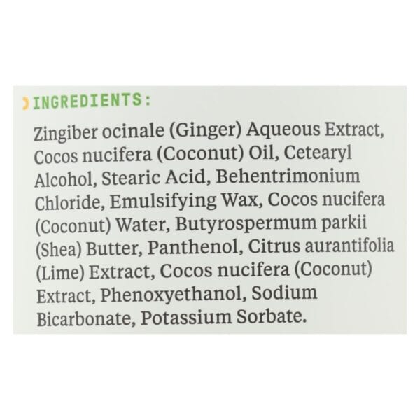 Alaffia Coconut Lime Ultra Hydrating Conditioner  - 1 Each - 32 FZ - Image 2