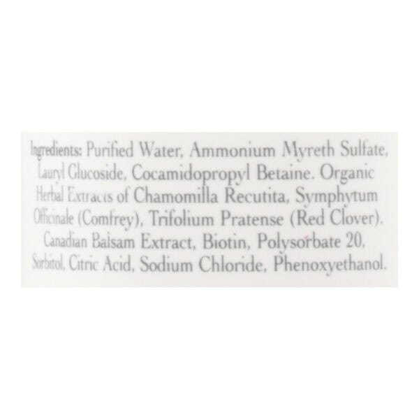 Stony Brook Shampoo Unscented - 16 fl oz - Image 2