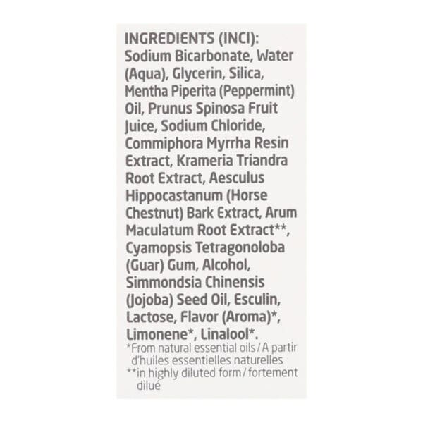 Weleda Salt Toothpaste Peppermint - 2.5 oz