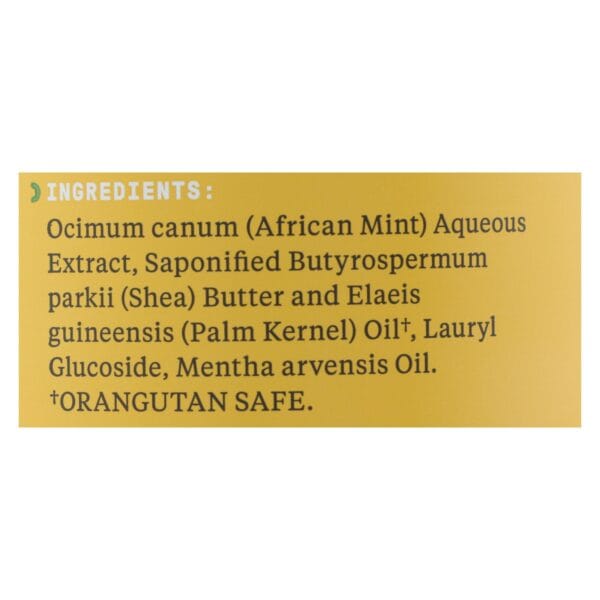 Alaffia - African Black Soap - Peppermint - 32 fl oz.
