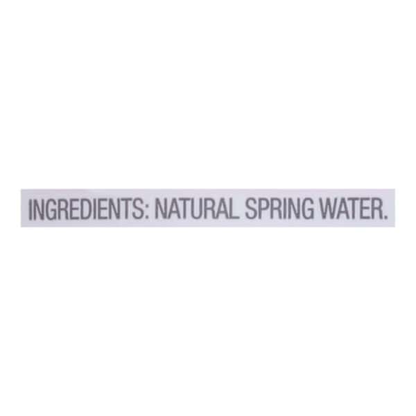 Evians Spring Water Natural Spring Water - Water - Case of 12 - 50.7 FL oz. - Image 2