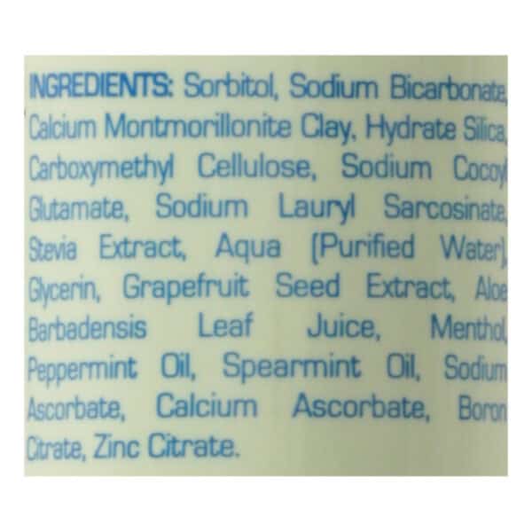 Zion Health ClayBrite Natural Toothpaste - Natural Mint - 3.2 oz