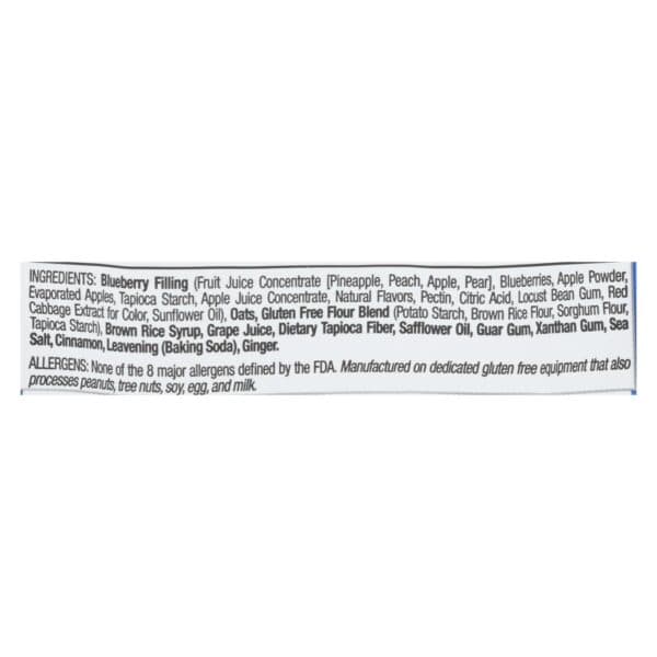Betty Lou's Blueberry Fruit Bar  - Case of 12 - 2 OZ - Image 2