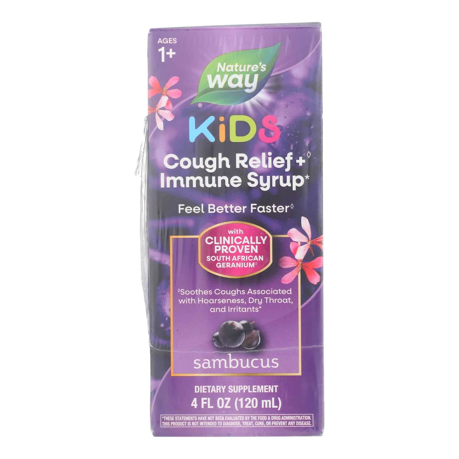 Nature's Way - Sambucus Kids Syrup - 1 Each-4 FZ