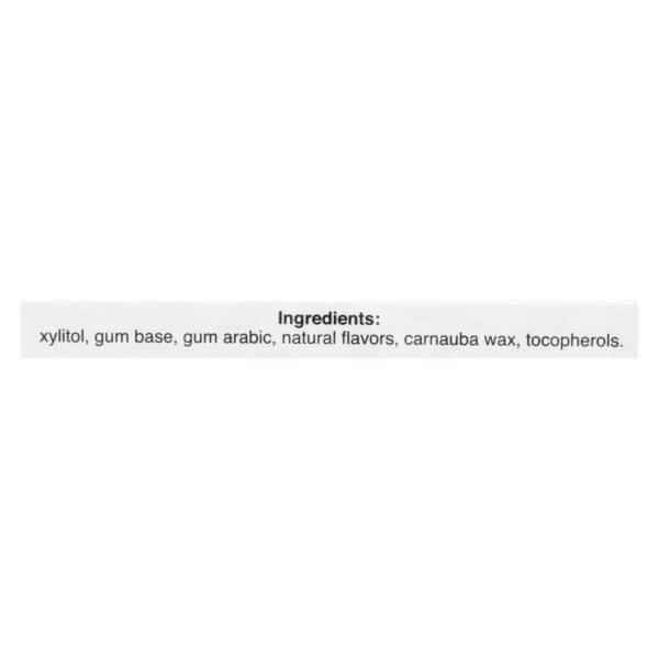Pur Gum - Spearmint - Aspartame Free - 9 Pieces - 12.6 g - Case of 12 - Image 2