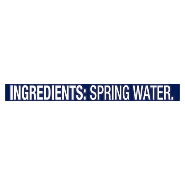 Ice Mountain - Natural Spring Water - 24/500 mL
