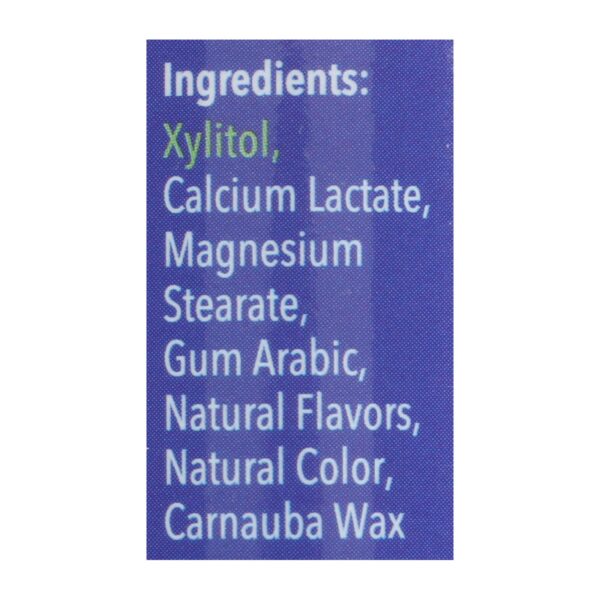 Spry Xylitol Mints - Peppermint - Case of 6 - 45 Count