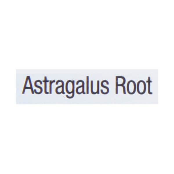 Bravo Teas and Herbs - Tea - Absolute Astragalus - 20 Bag