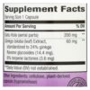 Nature's Way - Standardized Ginkgo - 60 Capsules
