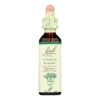 Bach Flower Remedies Essence Centaury - 0.7 fl oz - Image 2