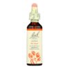 Bach Flower Remedies Essence Aspen - 0.7 fl oz - Image 2