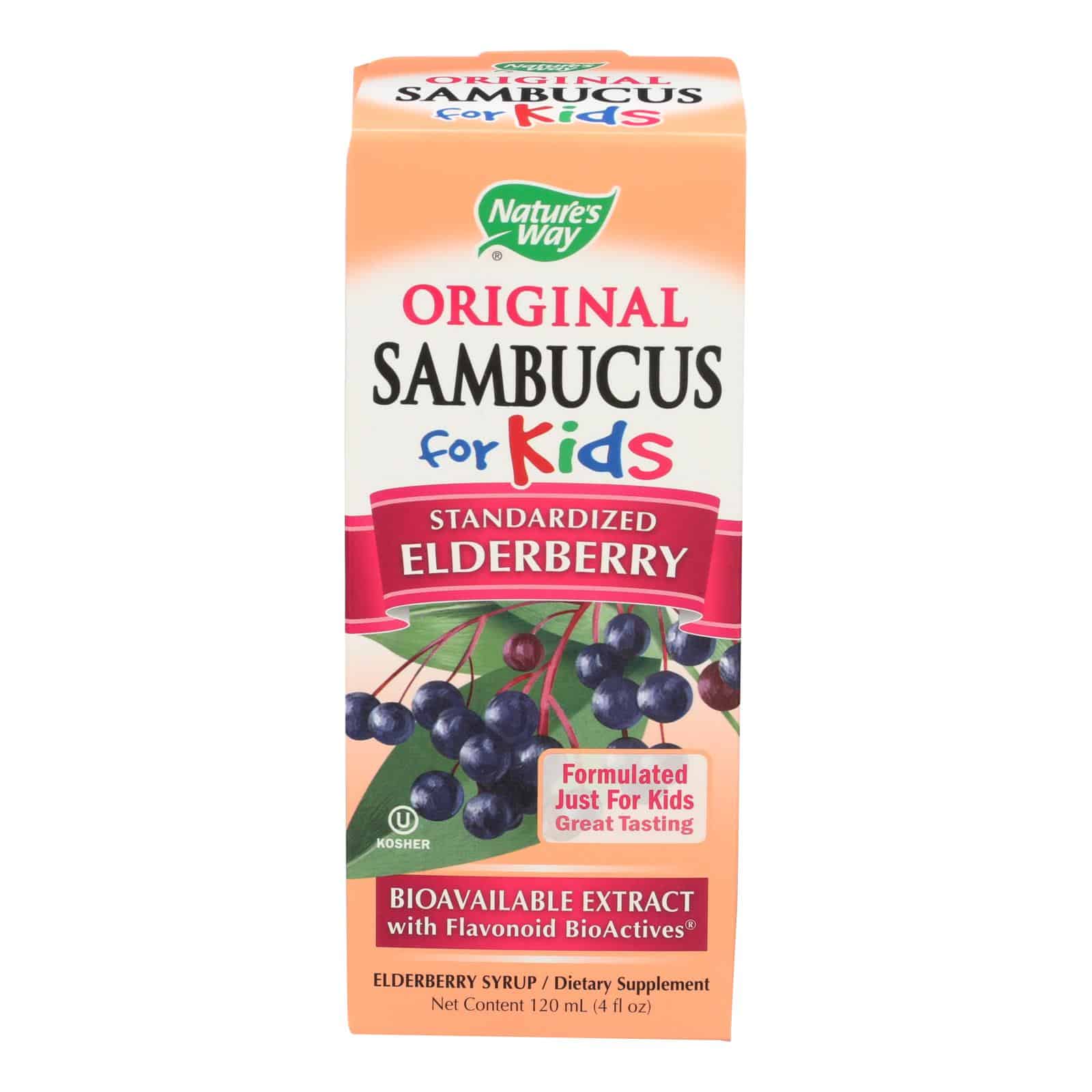 Nature's Way - Original Sambucus for Kids - Standardized Elderberry - 4 fl oz - Image 2
