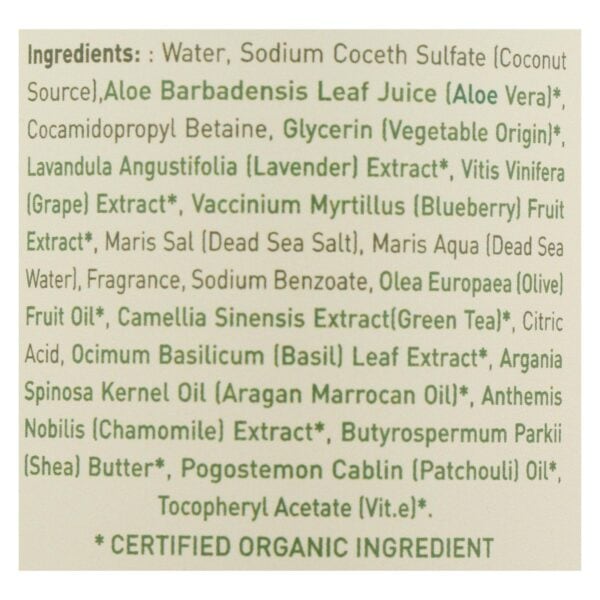 Ecolove - Shower Gel Purple Fruit - 1 Each - 17.6 FZ