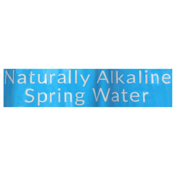 Eternal Naturally Artesian Water - Case of 4 - 600 ml